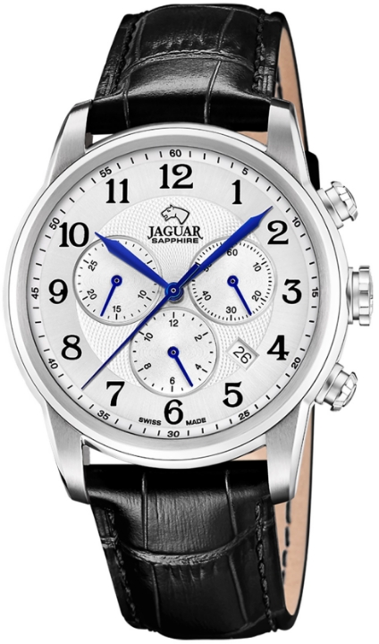 Obrazek Jaguar Acamar