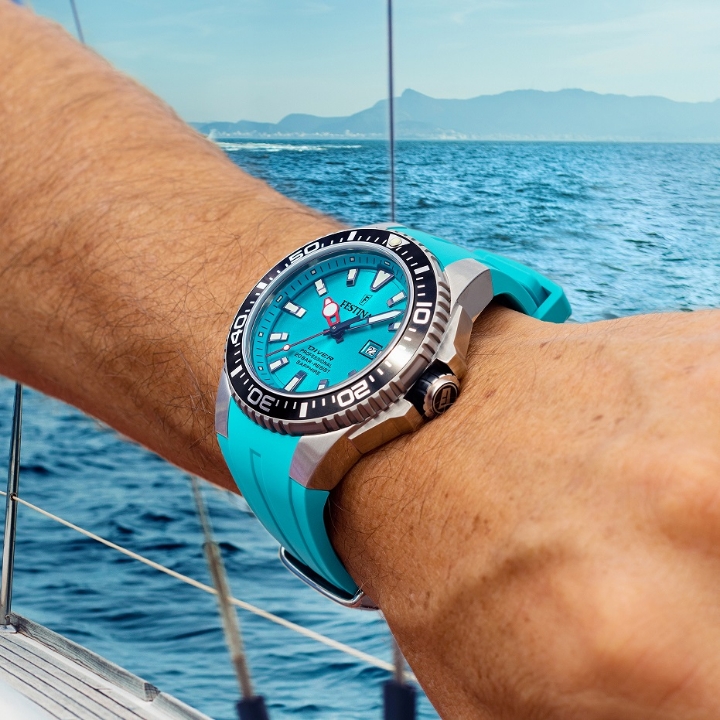 Obrazek Festina The Originals Diver Professional