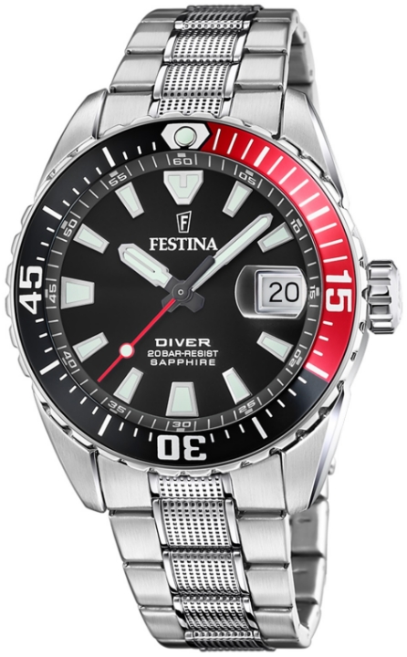 Obrazek Festina The Originals