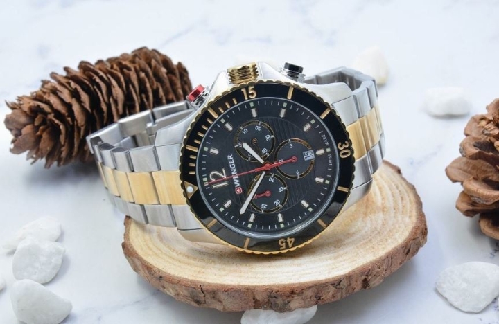 Obrazek Wenger Seaforce