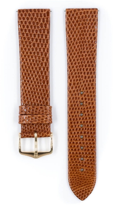 Obrazek Pasek Hirsch Lizard