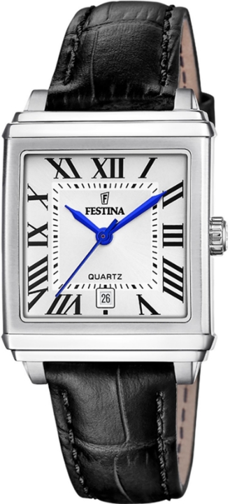 Obrazek Festina Classics