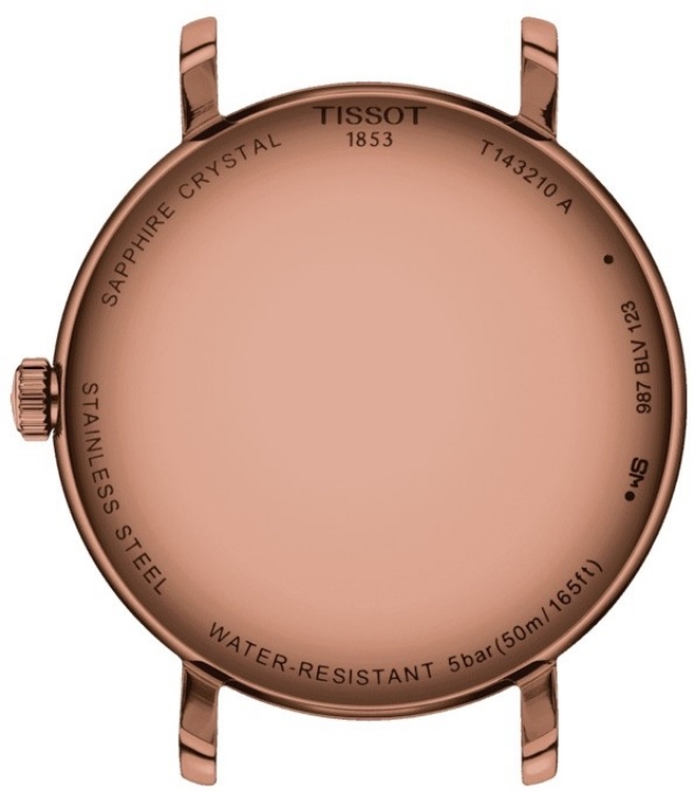 Obrazek Tissot Everytime