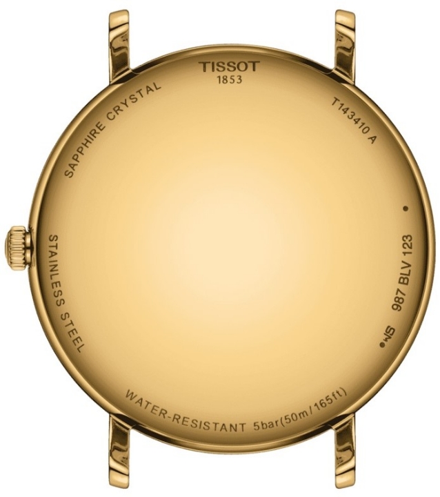 Obrazek Tissot Everytime