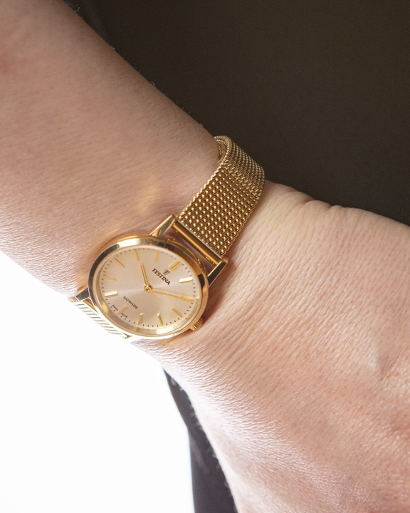 Obrazek Festina Swiss Made