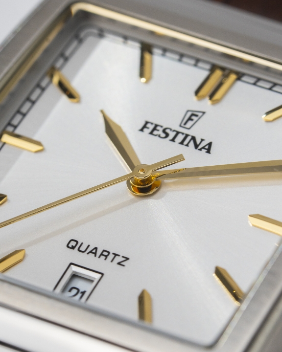 Obrazek Festina Classics