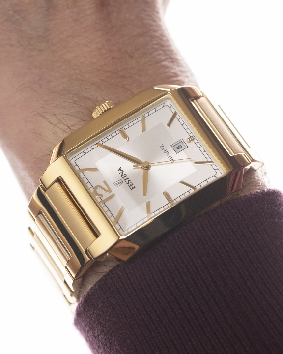 Obrazek Festina Classics