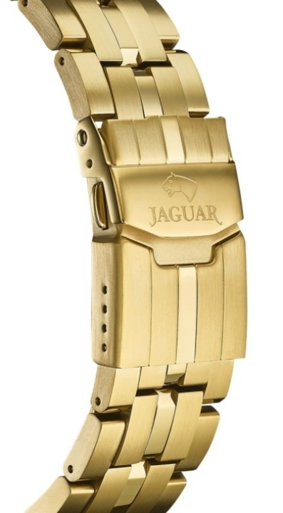 Obrazek Jaguar Executive