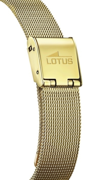 Obrazek Lotus Bliss Love