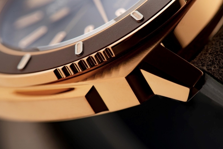 Obrazek Alpina Seastrong Diver 300