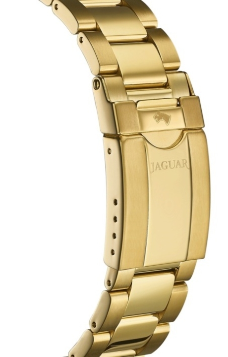 Obrazek Jaguar Executive Diver