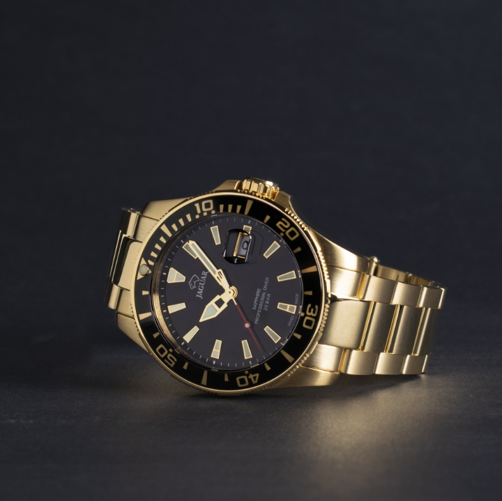 Obrazek Jaguar Executive Diver