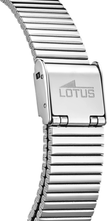 Obrazek Lotus Trendy