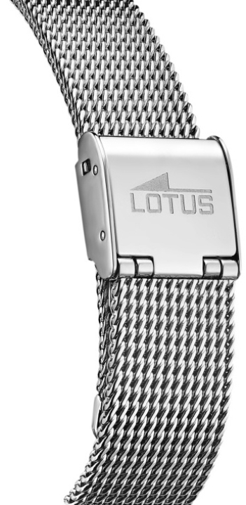 Obrazek Lotus Trendy