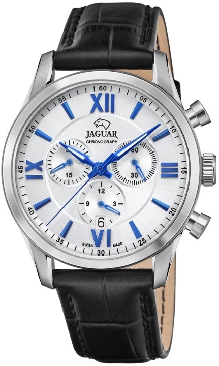 Obrazek Jaguar Acamar