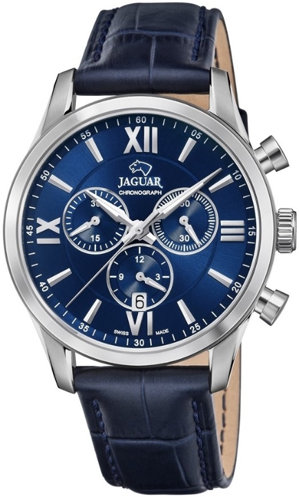 Obrazek Jaguar Acamar