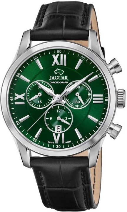 Obrazek Jaguar Acamar