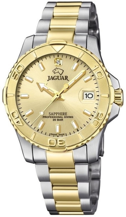 Obrazek Jaguar Executive Diver