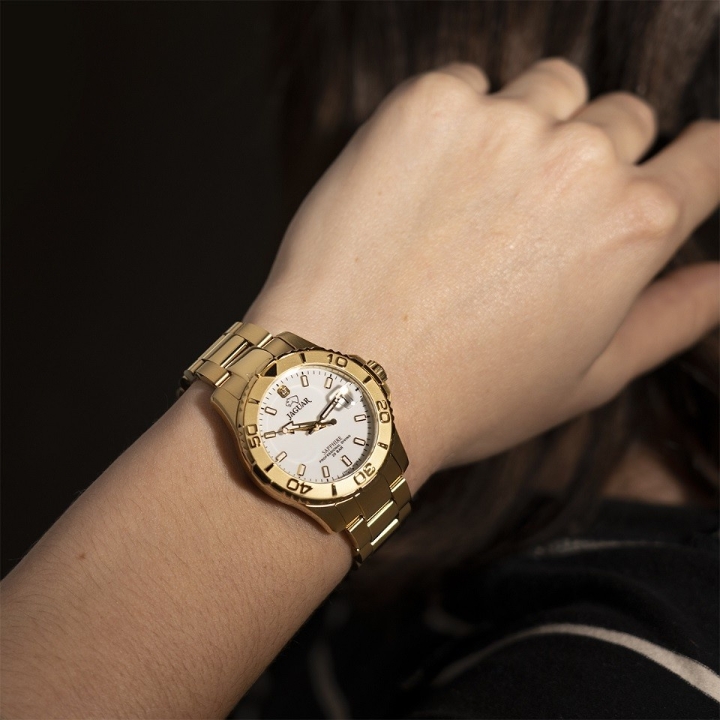 Obrazek Jaguar Executive Diver