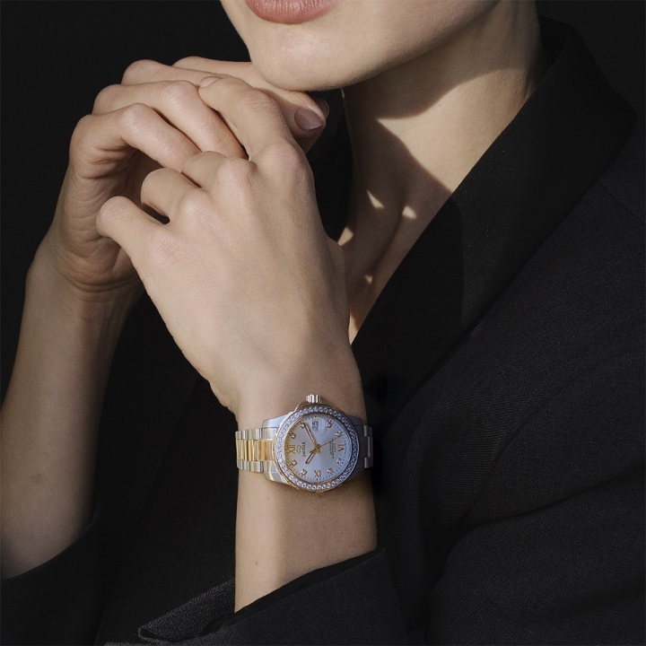 Obrazek Jaguar Executive Diver