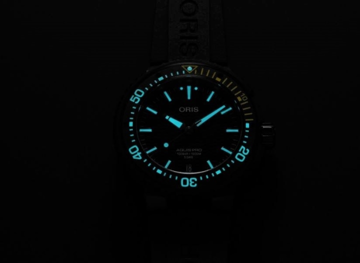 Obrazek Oris AquisPro 1000m