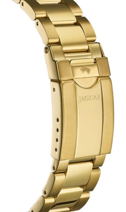 Obrazek Jaguar Executive Diver