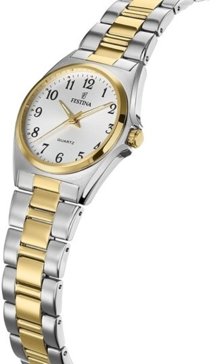 Obrazek Festina Classics