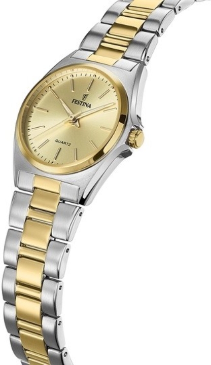 Obrazek Festina Classics