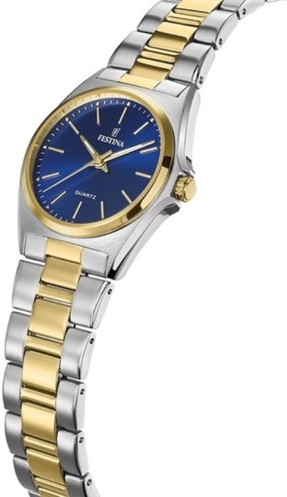 Obrazek Festina Classics