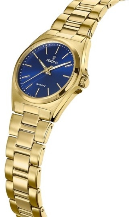 Obrazek Festina Classics