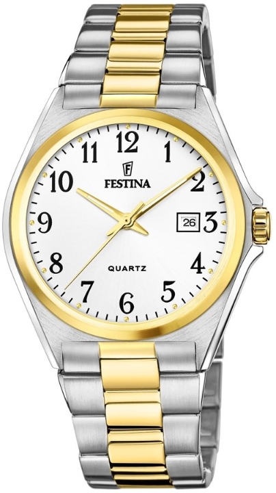 Obrazek Festina Classics