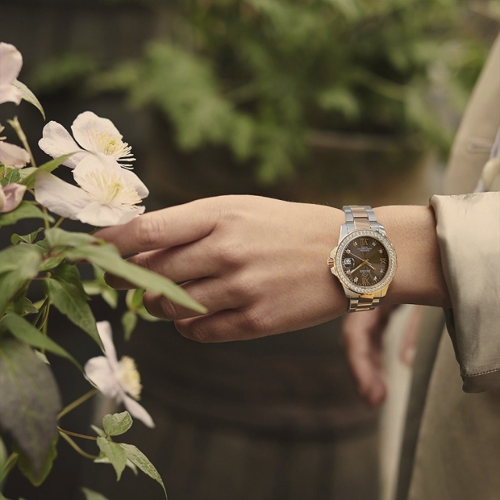 Obrazek Jaguar Executive Diver