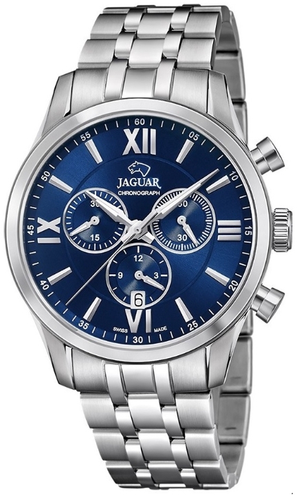 Obrazek Jaguar Acamar