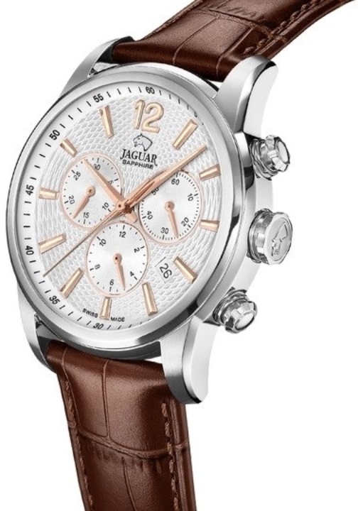 Obrazek Jaguar Acamar