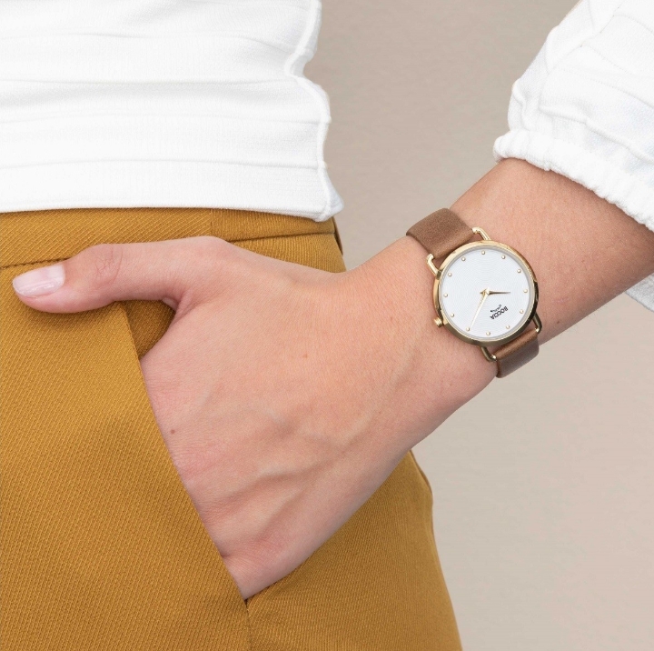 Obrazek Boccia Titanium