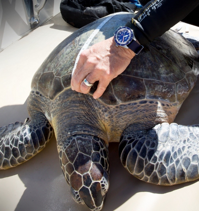 Obrazek Certina DS Super PH500M