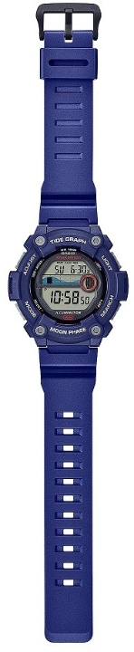 Obrazek Casio Collection Digital