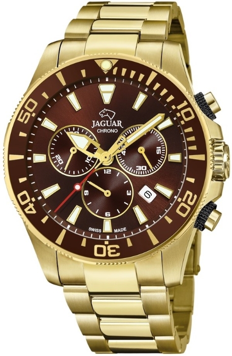 Obrazek Jaguar Executive Diver
