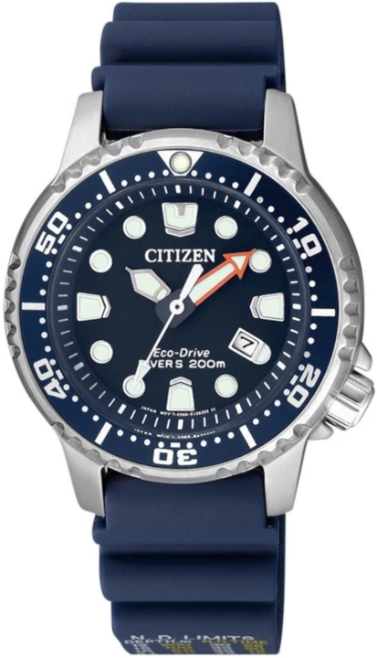 Obrazek Citizen