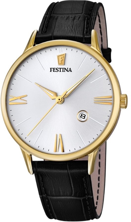 Obrazek Festina Classic Strap
