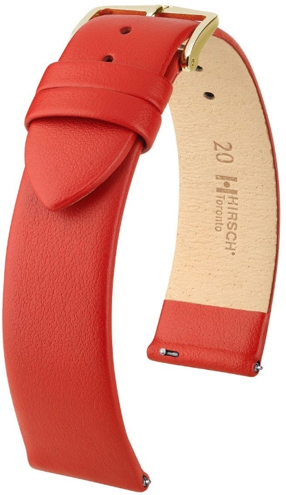 Obrazek Pasek Hirsch Toronto