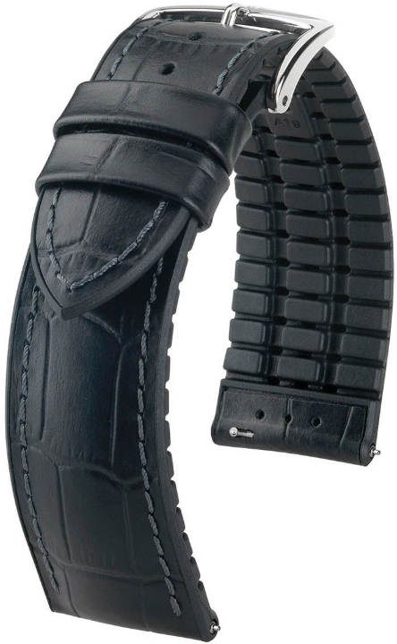 Obrazek Pasek Hirsch Paul L