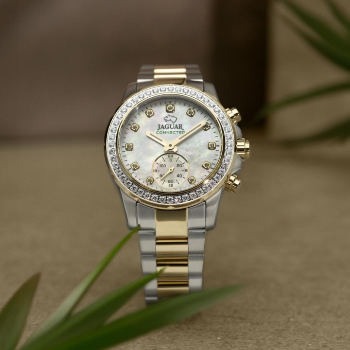 Obrazek Jaguar Connected