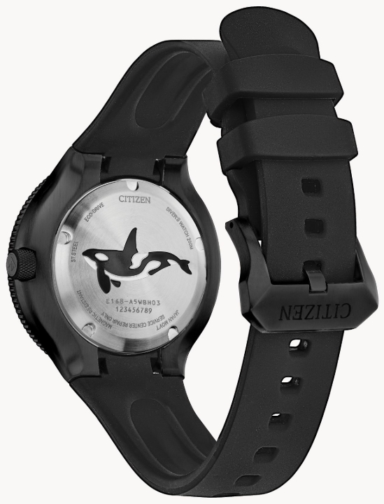 Obrazek Citizen Promaster Marine Eco Drive