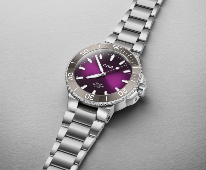 Obrazek Oris Aquis Hölstein Edition 2023