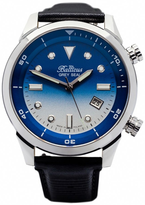 Obrazek Balticus Grey Seal Niebieski