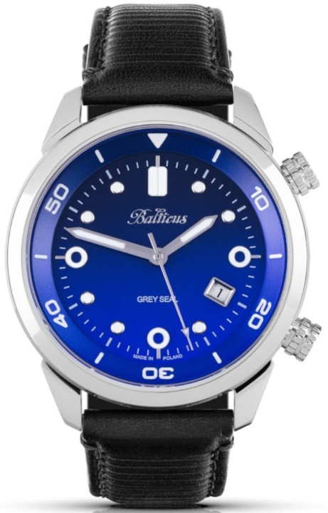 Obrazek BALTICUS Grey Seal niebieski gradient