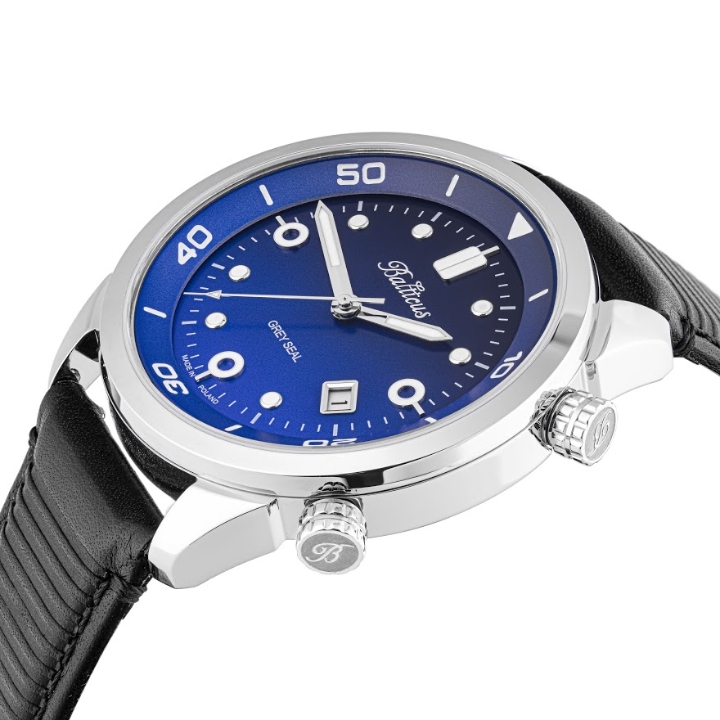 Obrazek BALTICUS Grey Seal niebieski gradient