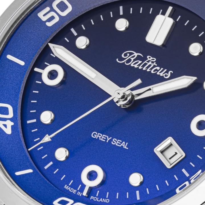 Obrazek BALTICUS Grey Seal niebieski gradient