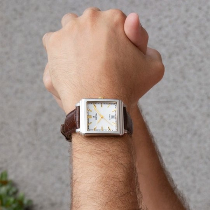 Obrazek Festina Classics